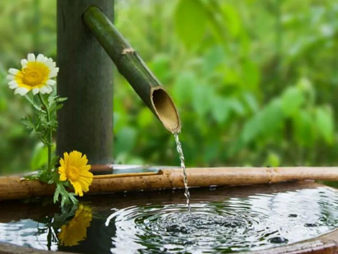 不要和愚者争论快乐的秘诀,保持快乐的秘诀不和愚蠢的人争论