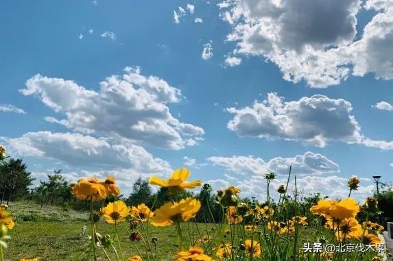 芒种旅游景点推荐,芒种至仲夏节气