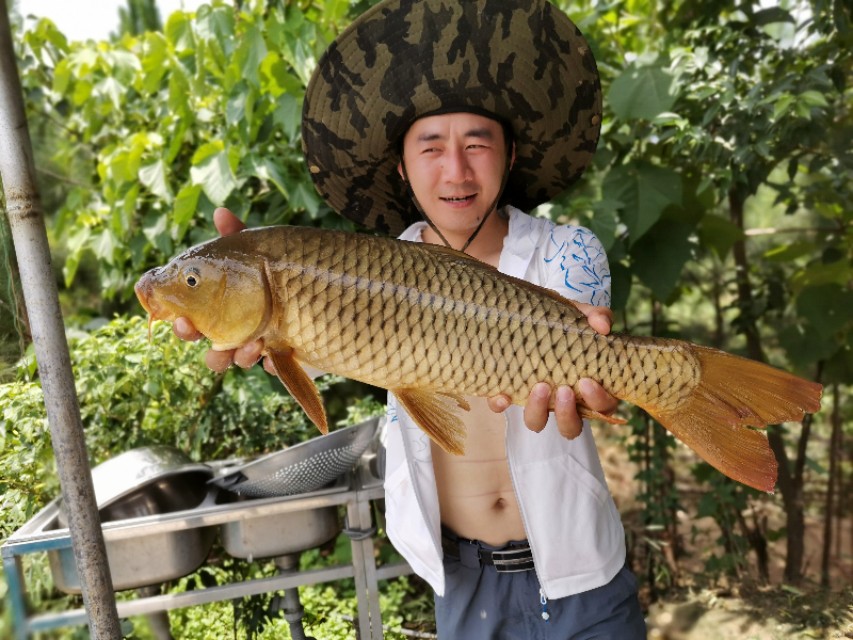 距昆明300公里的垂钓天堂,距离云南近的万峰湖野钓地点推荐