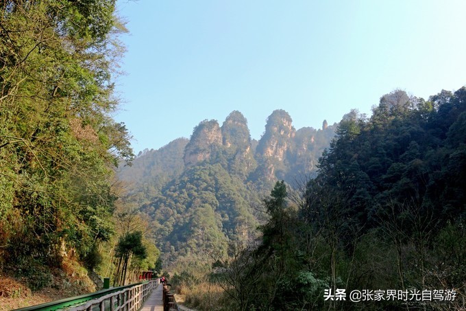张家界森林公园亲子游攻略,张家界旅游攻略现在张家界气温