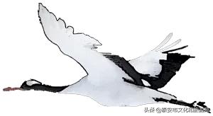 泰山温泉城最新消息,暖春已到静待花开