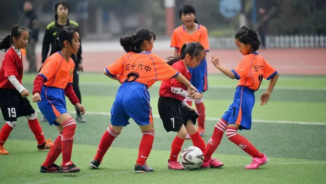 学体育就业前景如何,就业率94%算高吗