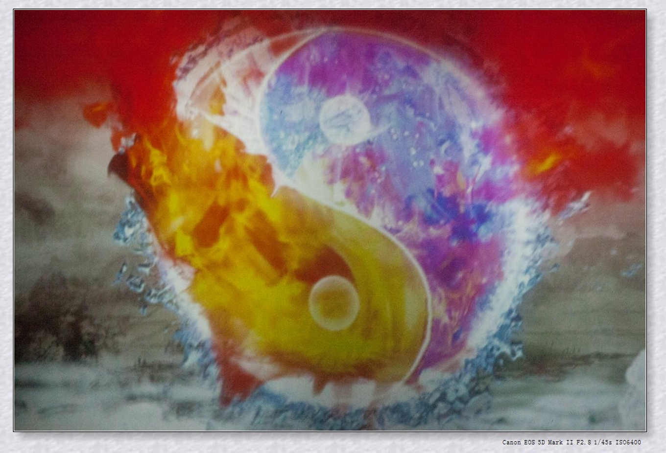 常州旅游东方盐湖城,骆驼之旅视频