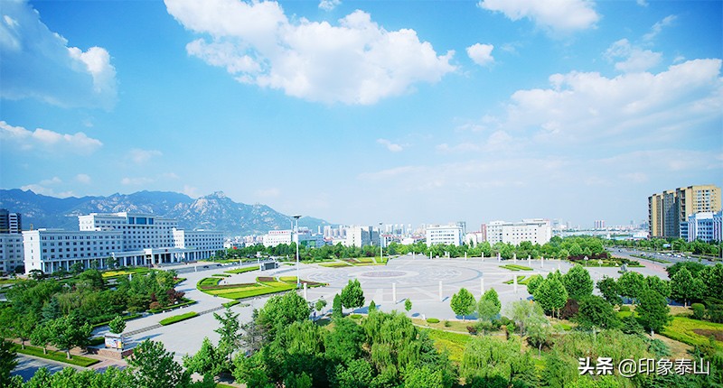 2020年岱岳区项目建设内容,岱岳城乡建设投资发展