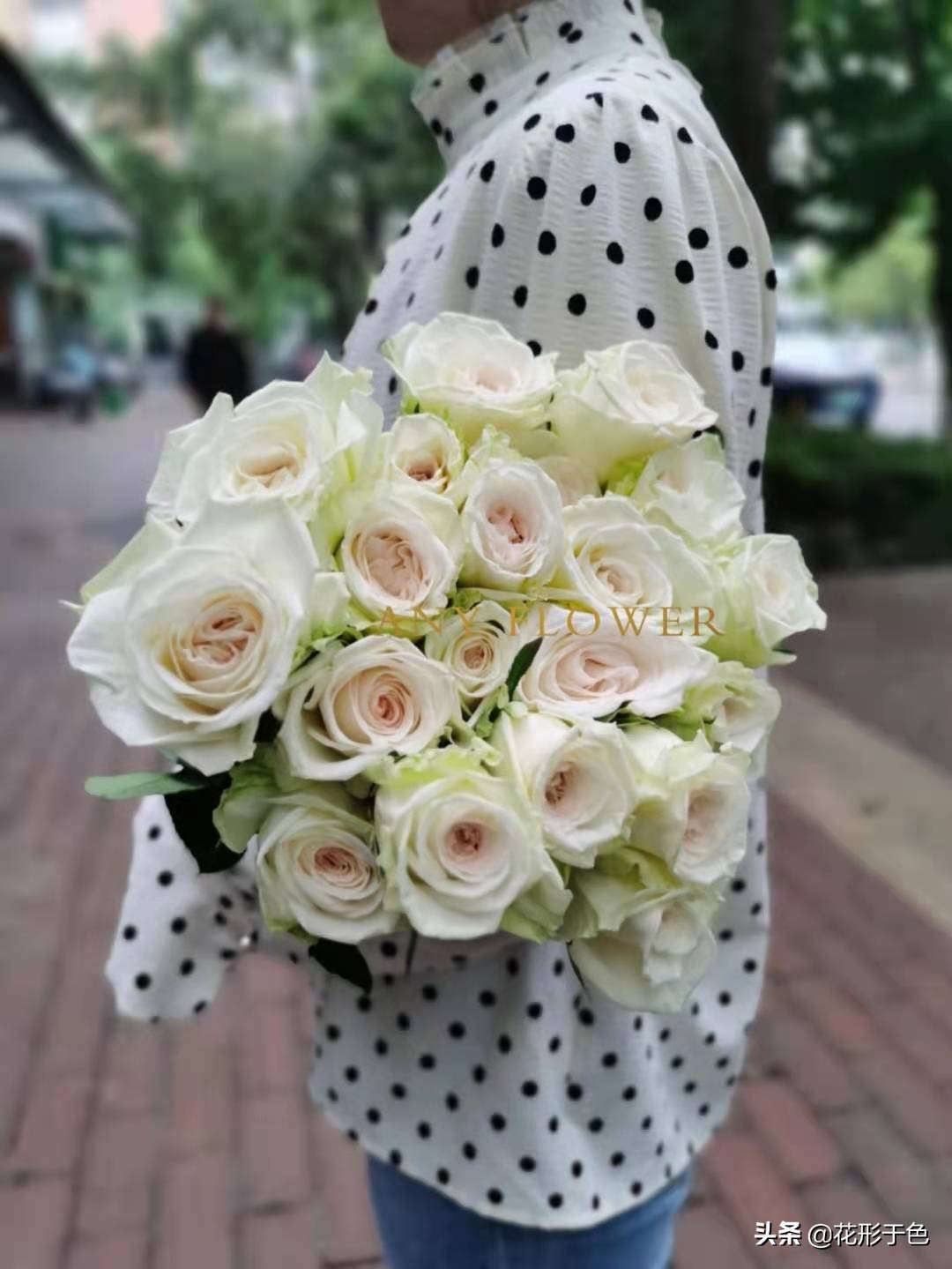 玫瑰品种品鉴,玫瑰花品鉴