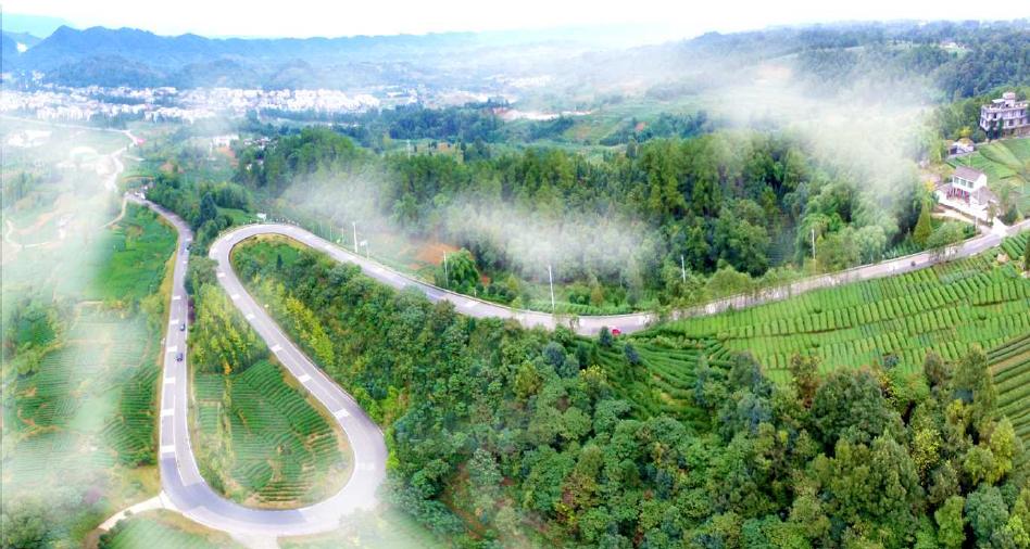 成都周边春季徒步旅游攻略,成都森林徒步旅游攻略