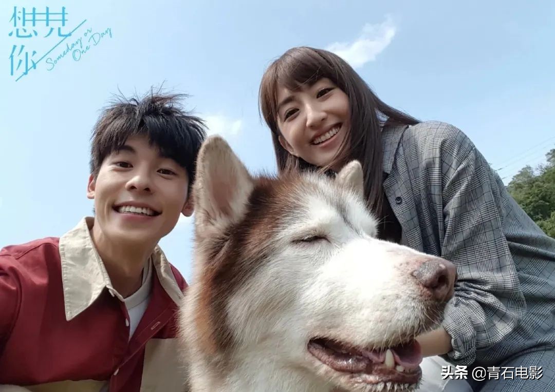 流星花园台版最经典,流星花园王子变青蛙放羊的星星