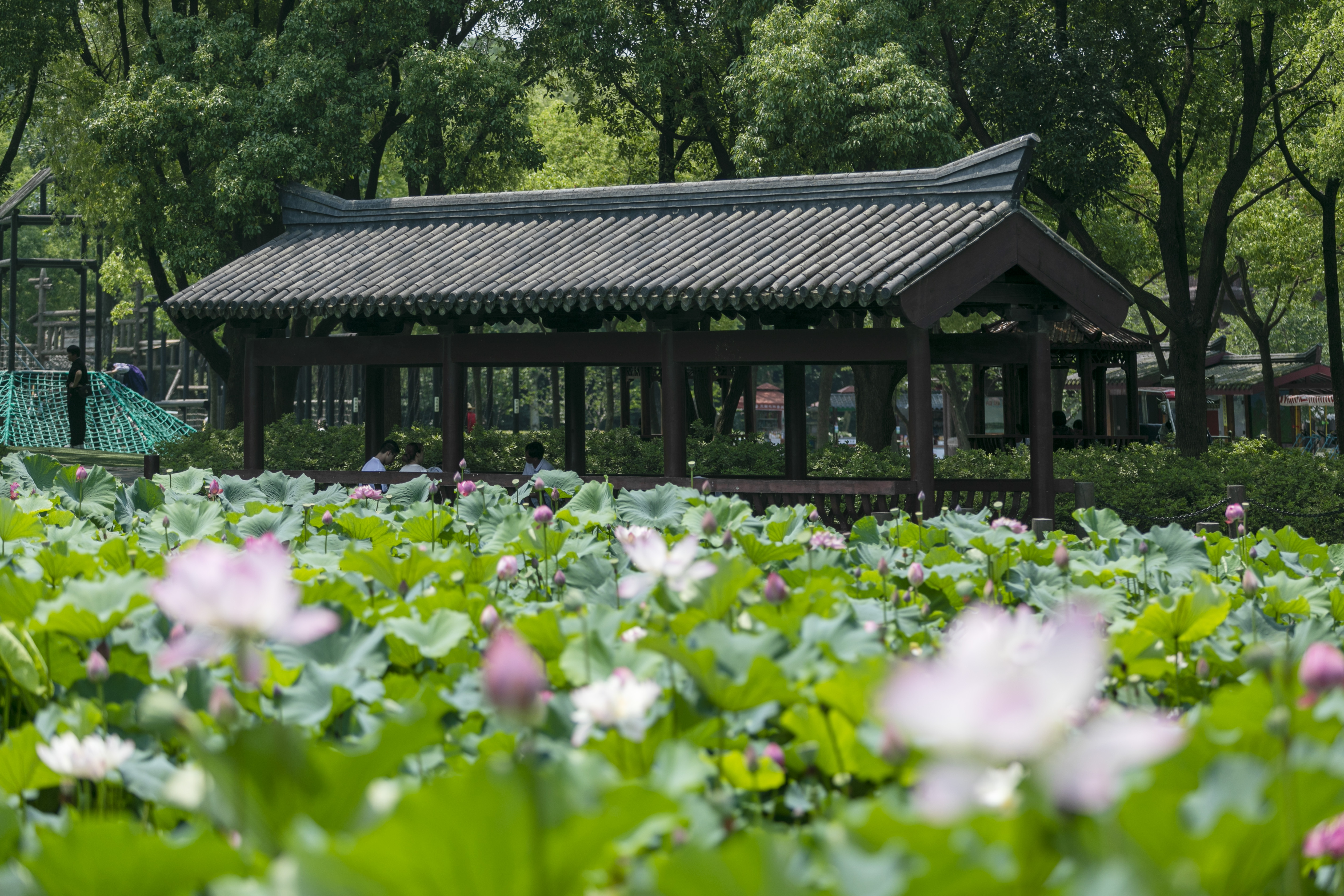 无锡三国水浒旅游攻略,游无锡三国水浒城
