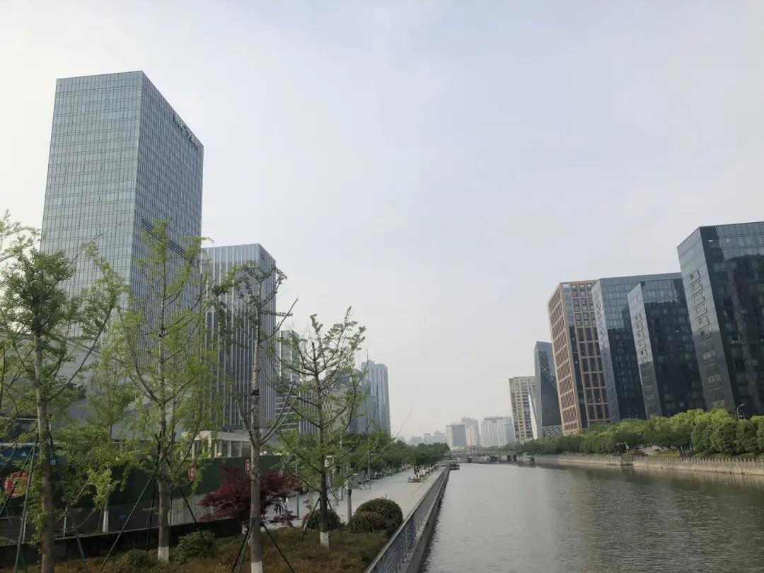 杭州靠阿里巴巴吗,杭州和阿里