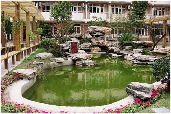 徐汇厉害的中学,上海徐汇最好中学