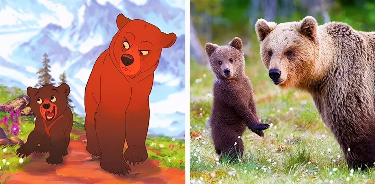 盘点那些经典的可爱卡通动物,盘点那些长得像漫画版形象的动物