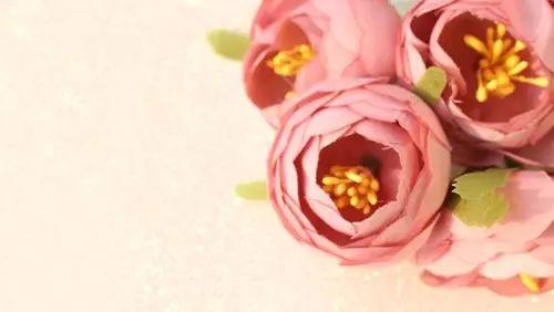 做人的最高境界一句话精辟,做人的最高境界是懂得装傻