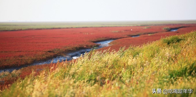 营口团山海洋公园是北海公园吗,营口团山海洋公园和金帛滩哪个好