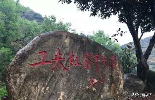 闽红工夫茶有哪三种,闽红工夫茶系列