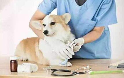 分数低冷门专业高薪,有哪些冷门的专业可以进国企