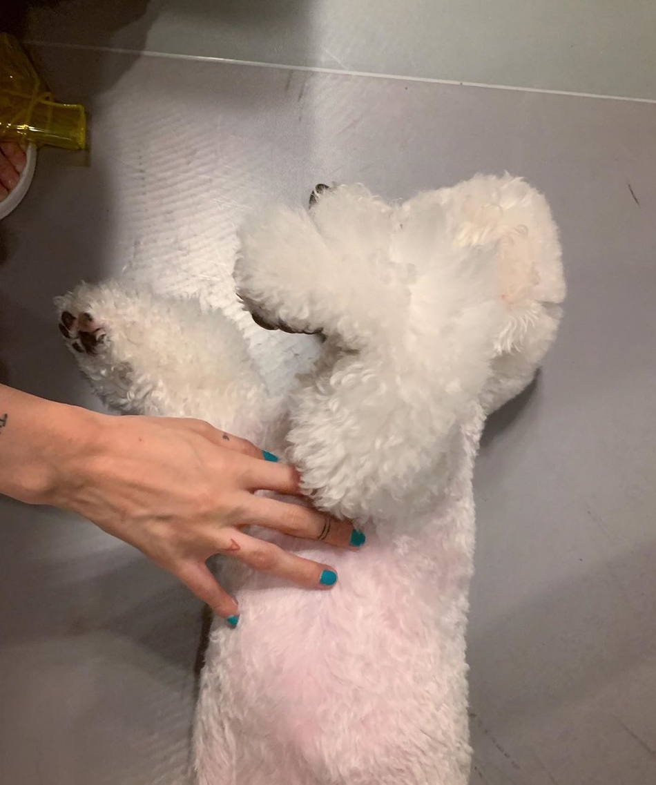 泫雅牛仔长裙穿搭,泫雅碎花吊带裙