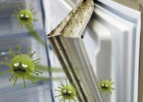 冰箱封条发霉变黑怎么清洗干净,冰箱封条发霉了用什么小妙招