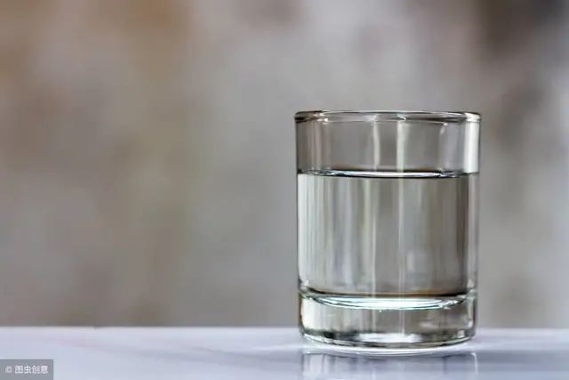 猫鼻支的症状和治疗方法,猫鼻支的症状及治疗方法