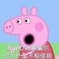 猫狗口腔清洁测评,猫狗洁齿水测评