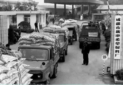 西南房企,西南房地产企业发展史