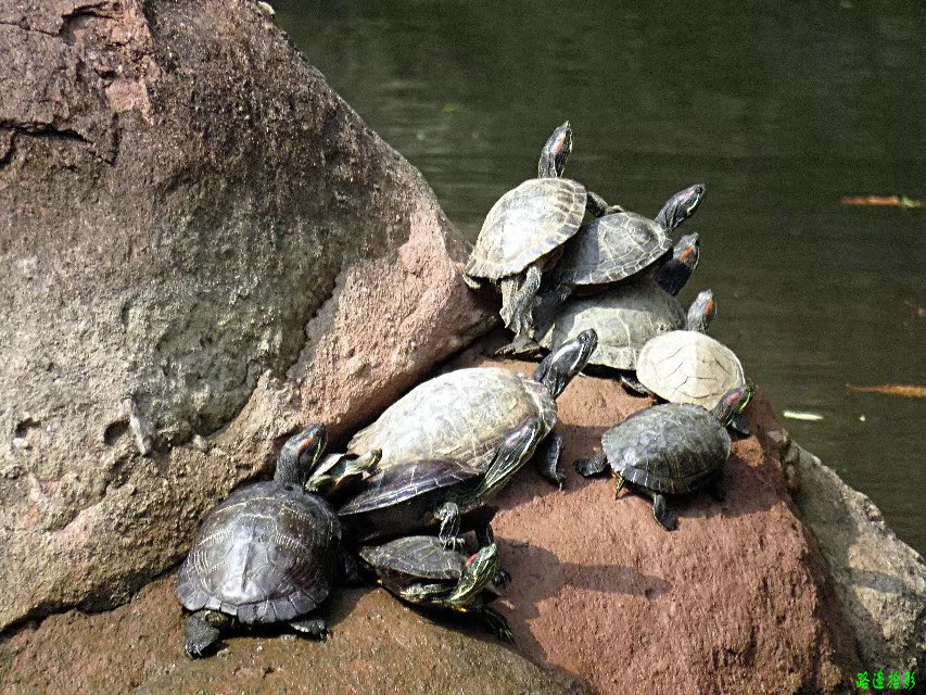 广州莲花山游记,广州莲花山风景