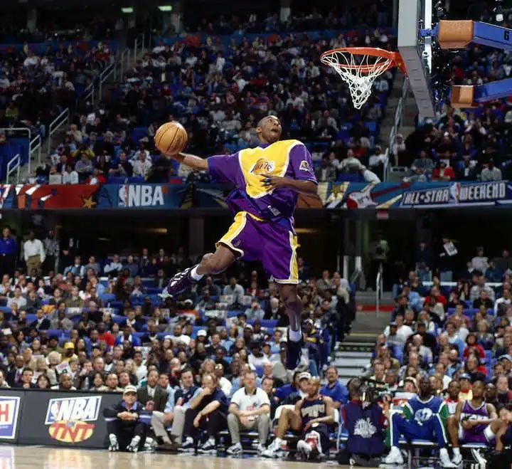 阿迪达斯全系列解说,阿迪达斯椰子鞋鞋带系法视频