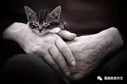 我所了解的冯骥才,冯骥才猫婆用了什么手法