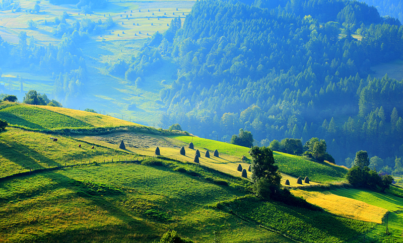 期货动态风险控制,期货公司风险控制体系