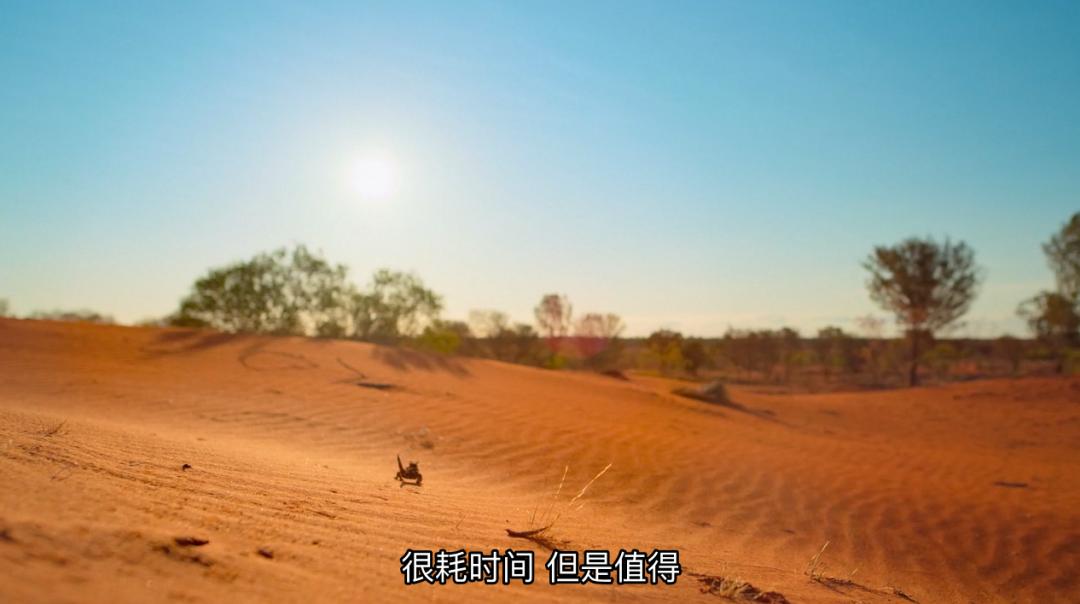 豆瓣9.6！娃刷到停不下来，还能看出人生大道理