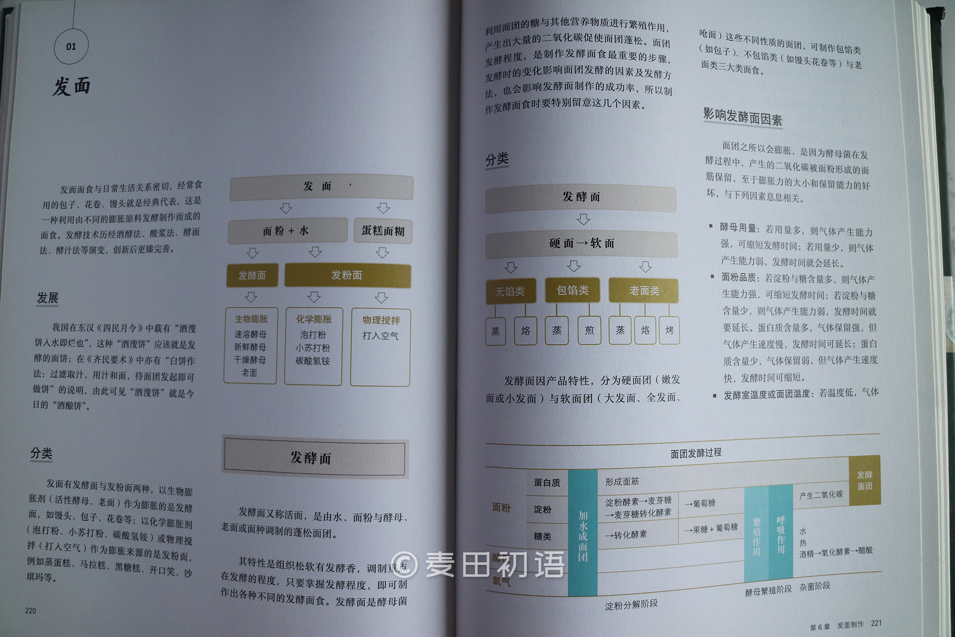 烘焙新手书,新手面包烘焙入门书