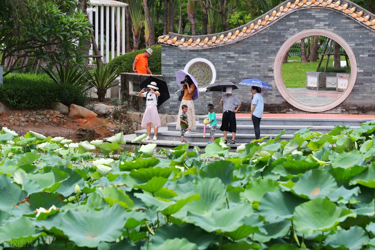 厦门五一旅游攻略景点打卡,厦门旅游必打卡景点