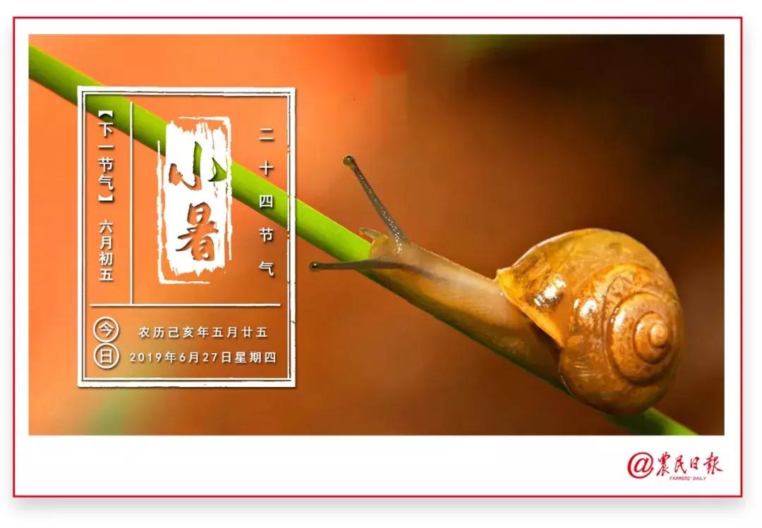 航空工匠的家国情怀,一个养殖者的匠心之城