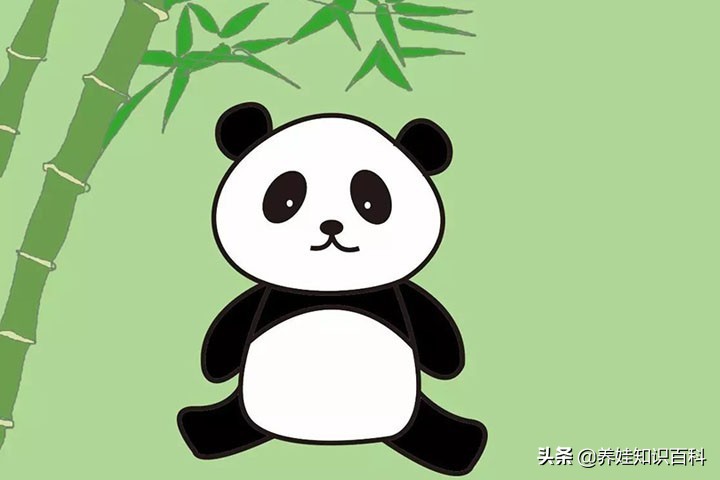 又可爱又简单的熊猫怎么画,熊猫怎么画国画儿童