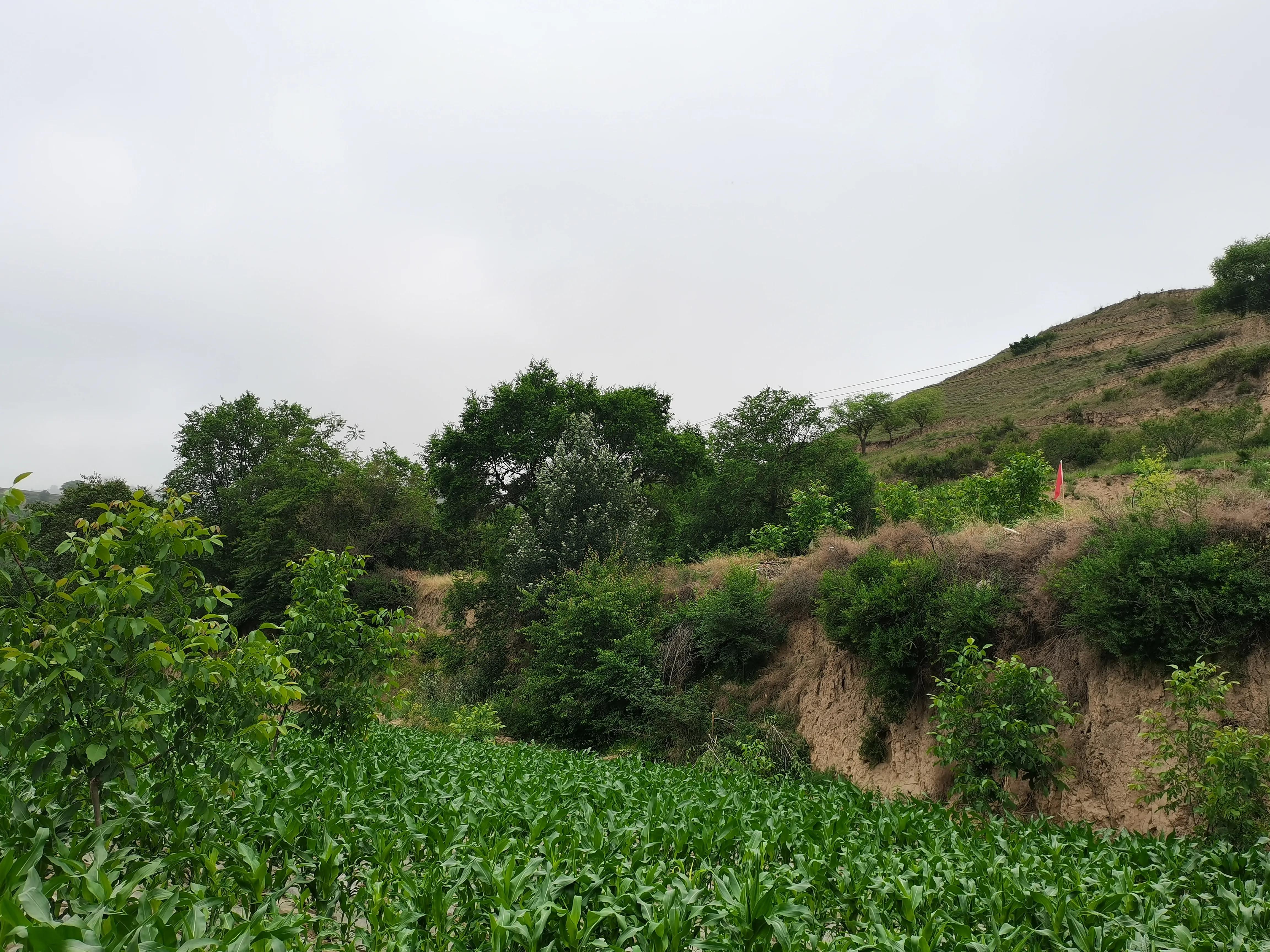 关于家乡生态环境研究报告,谈谈家乡近几年生态环境的变化