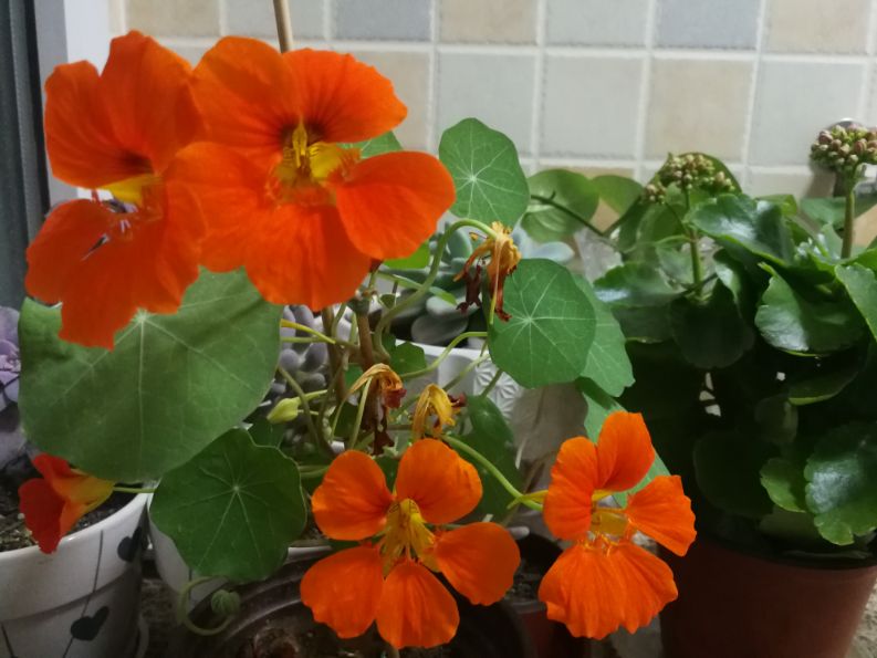 二十七年的坚持终于迎来转机,七年的努力和辛苦