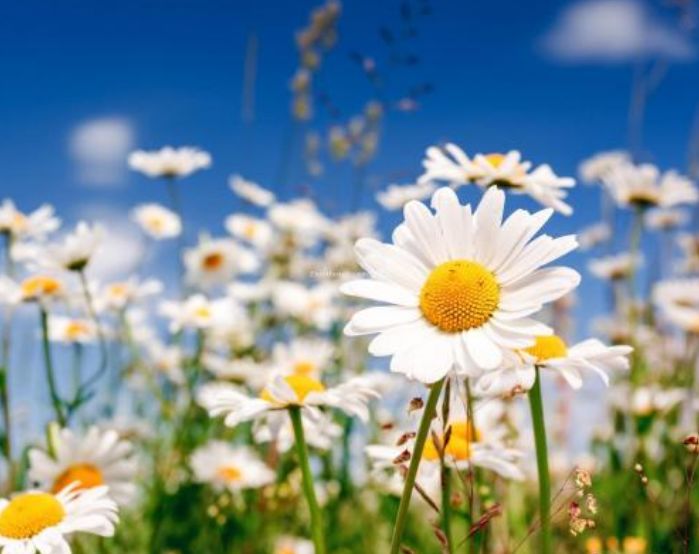 肛门塞异物很刺激？医生忙说：别乱来，快感之后全是悲伤