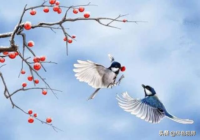 15斤甘蔗熬制红糖,20斤甘蔗古法红糖制作