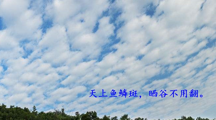 小学语文知识拓展练习册,小学语文第11课彩虹