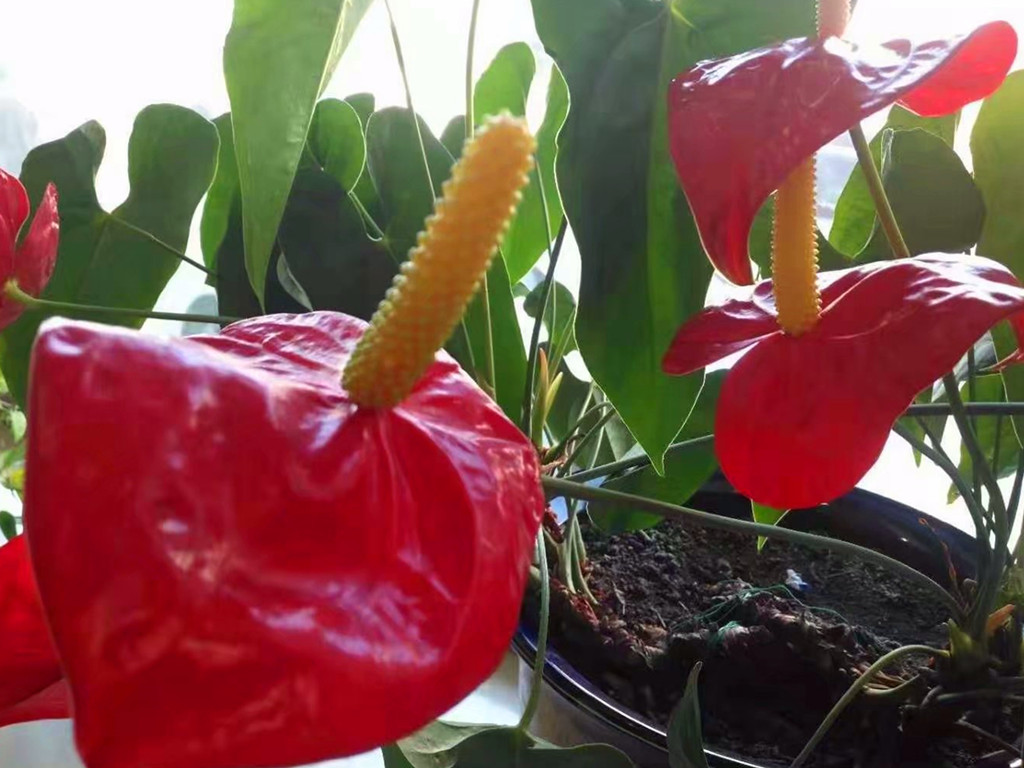 做好5件事快速改变人生,做好这5件事