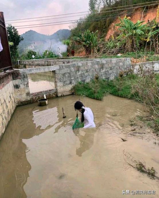 爆笑ps恶搞视频,恶搞搞笑ps素材