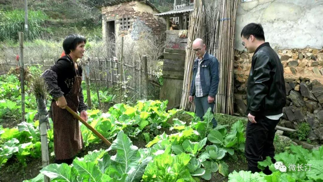 龙岩市人大代表程千茂：辛勤履职助力智慧农村建设