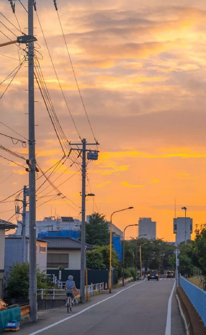 vans秋季怎么搭,vans秋天穿低帮还是高帮