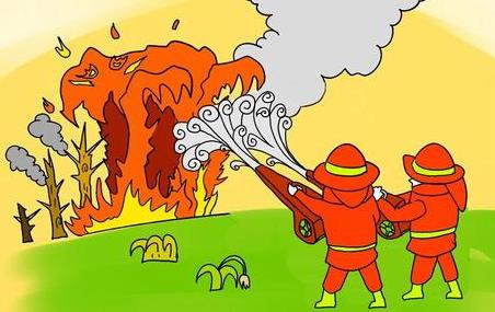 泰迪犬为何总爱舔人？它只是想告诉你这5件事，希望每个主人都懂