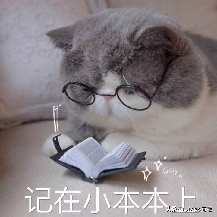 每只猫的名字都能叫出来,一只小公猫的名字