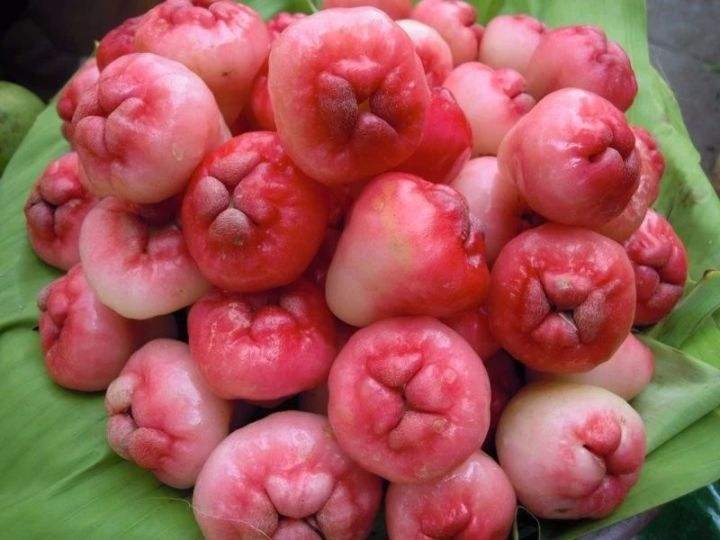 痔疮发展到什么程度了适合手术,痔疮目前国内最先进的手术