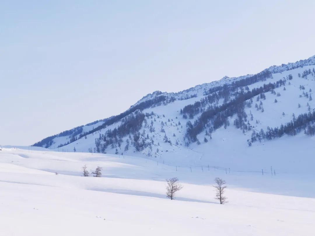 醒图app人像修图使用教程,网红app修图教程