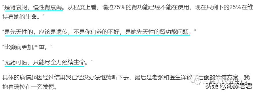 北京小公主靠吸猫血成百万大V,直播整容、大照骗、2年养死3只猫