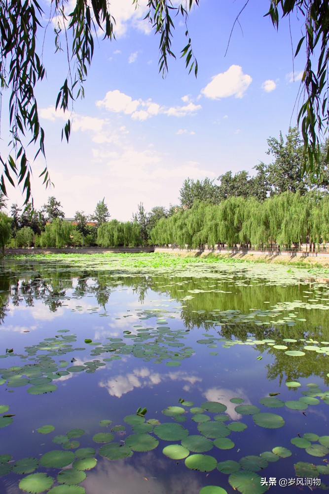 石家庄的这所财经类大学,虽然没有博士点,但是生源质量却很高