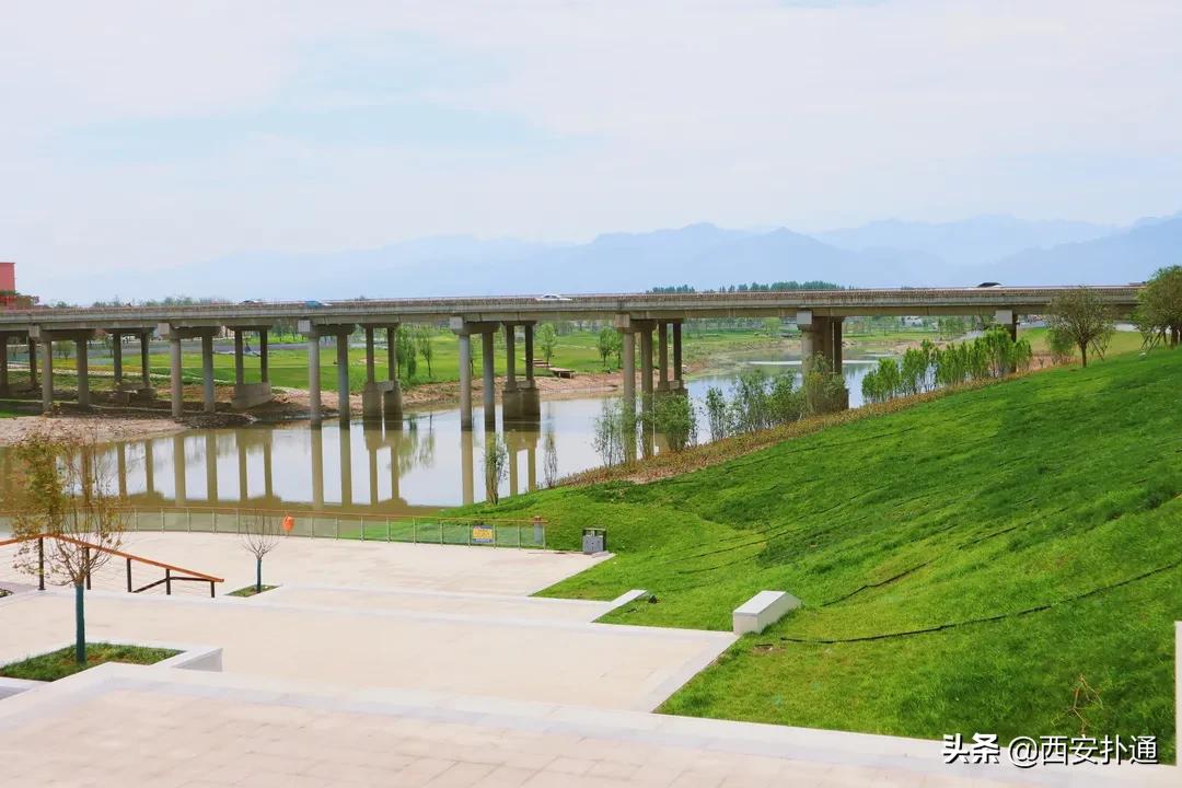 西安大草坪公园推荐,西安有大草坪的公园