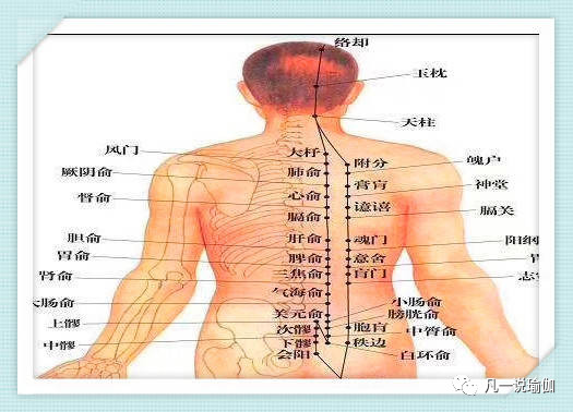 瑜伽跪坐压脚踝,舞蹈和瑜伽竖叉脚背放的不一样吗